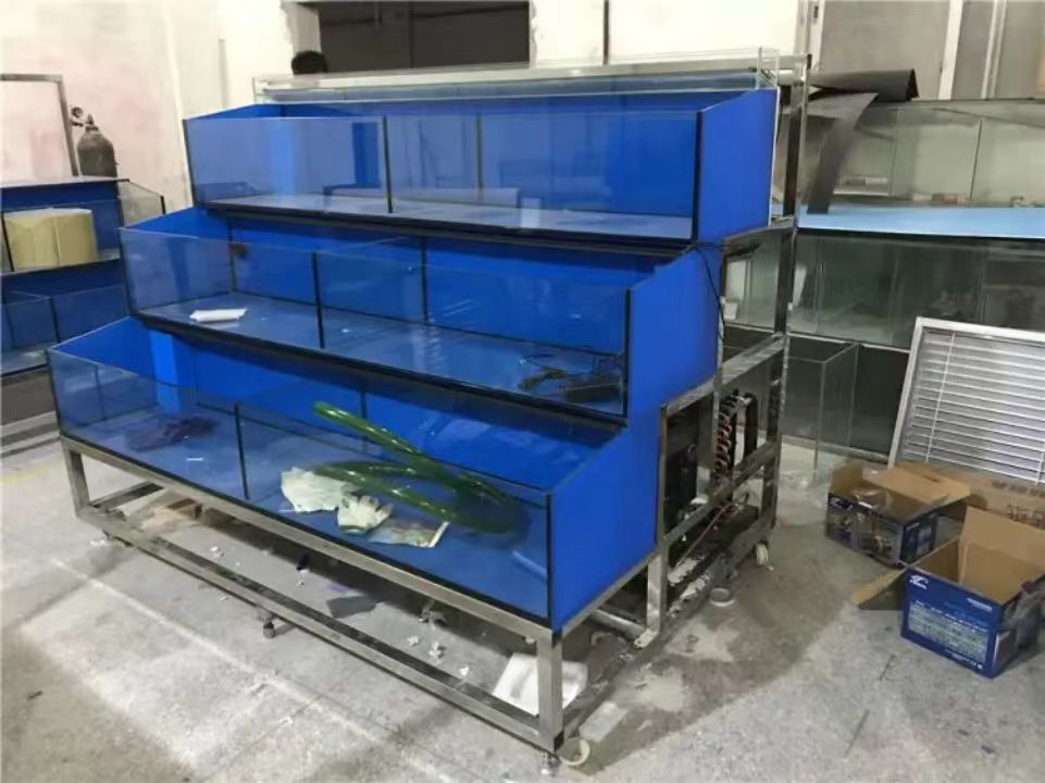 Modern Custom Aquarium DINGJU Fish Tanks Vertical Big  Water Large Aquarium