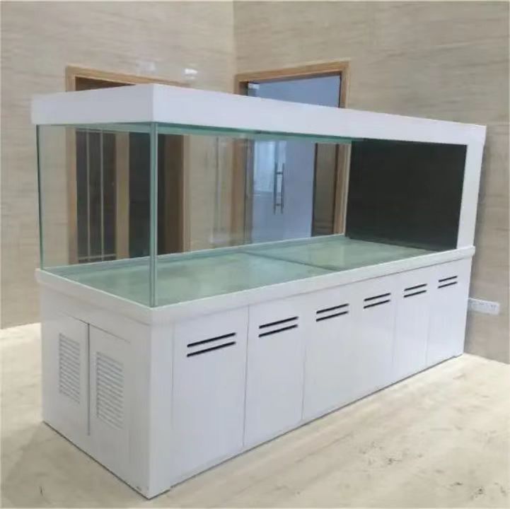 Modern Custom Aquarium DINGJU Fish Tanks Vertical Big  Water Large Aquarium
