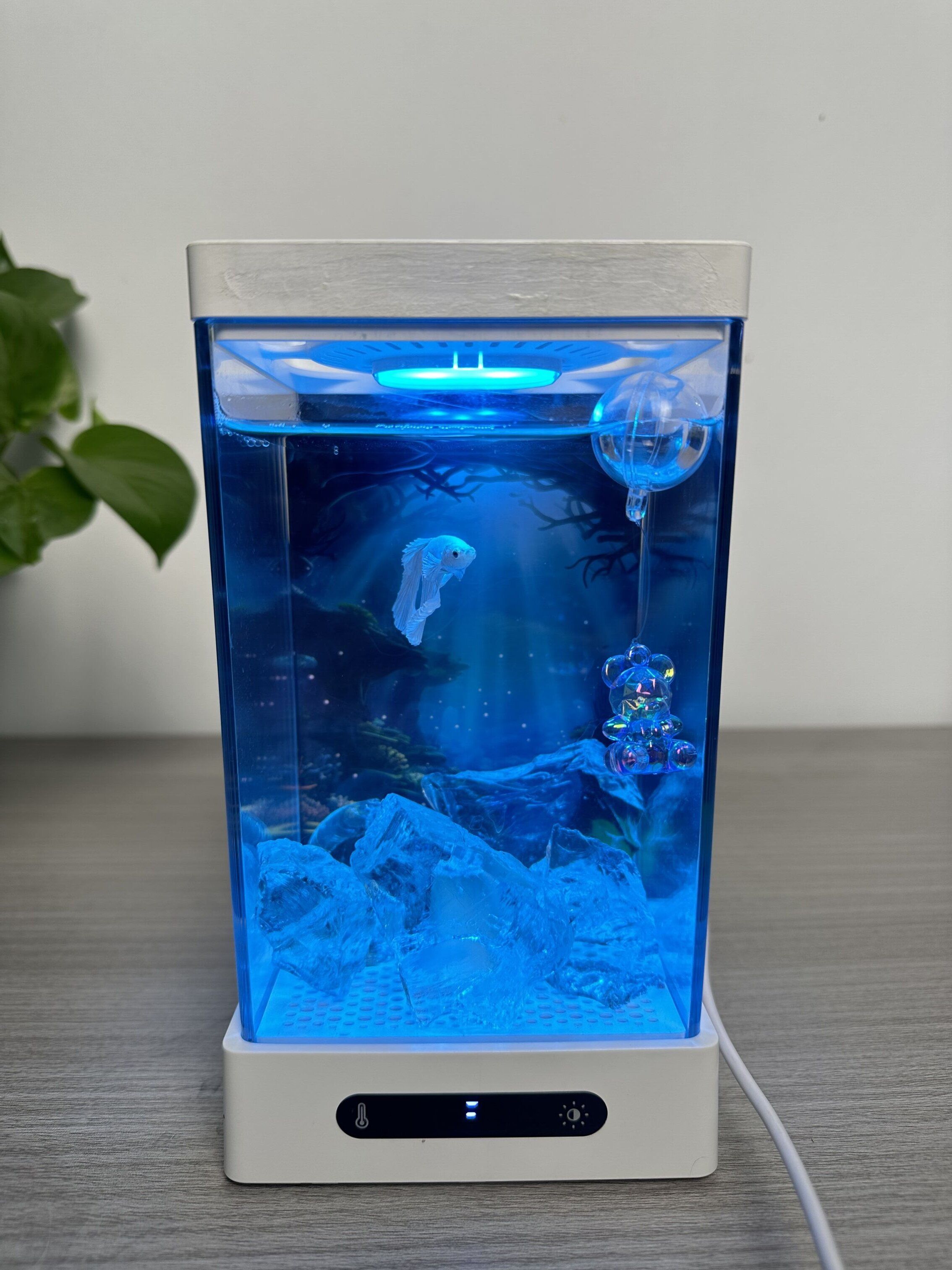 Smart Betta Aquarium & Accessory Type Small Dingju fish tank