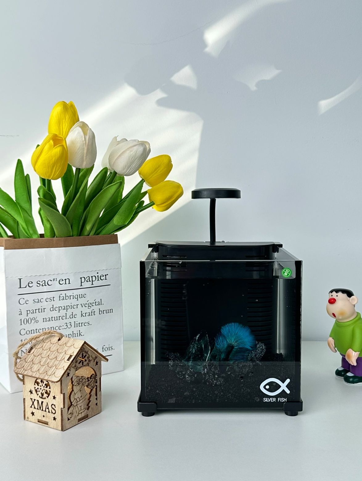 Dingju Aquarium nano fish tank wirh LED light & protein Skimmer