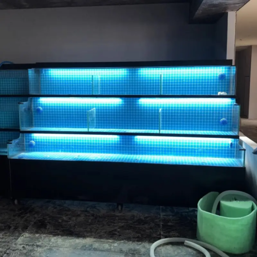 DINGJU Customizable Supermarket Restaurant Smart Operation System Glass Fish Tank Live Seafood Aquarium