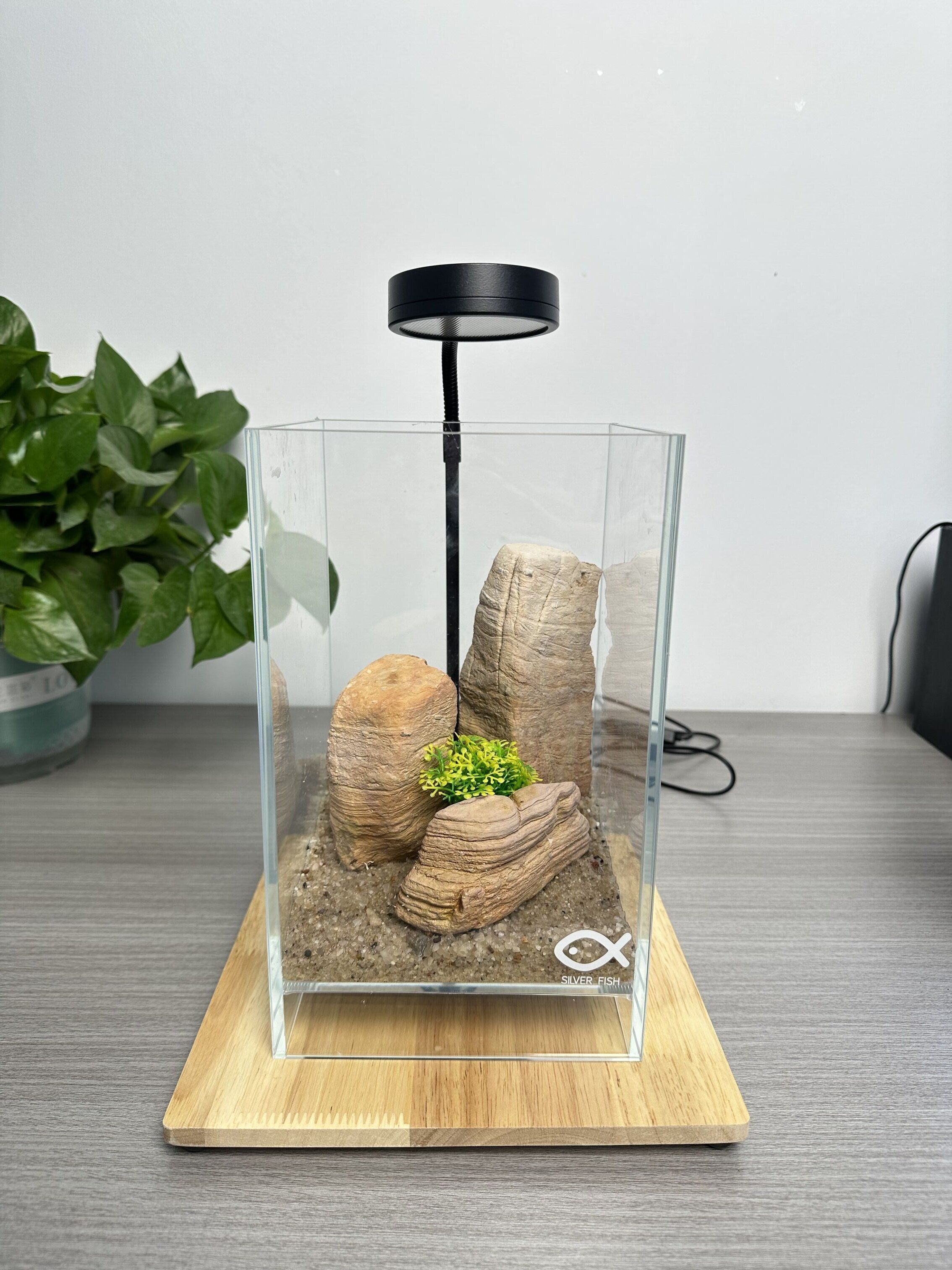 Suspended Square Cylinder With Wooden Base Dingju Small Fish Tank